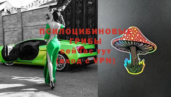 синтетический гашиш Алексин