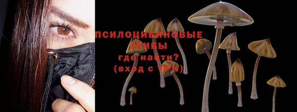 a pvp Алзамай
