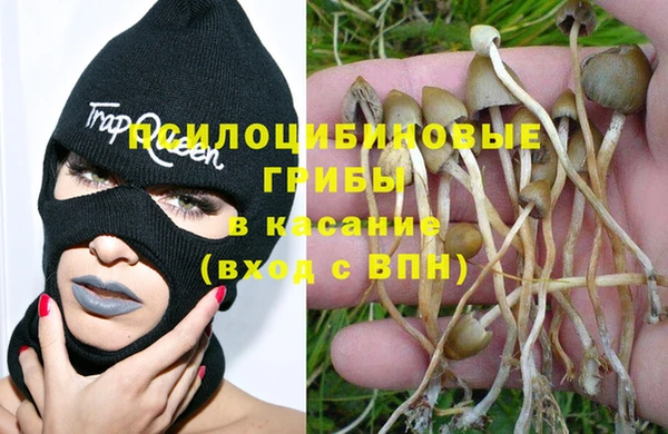 a pvp Алзамай