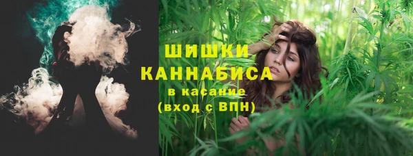 a pvp Алзамай
