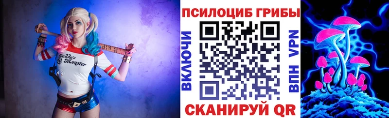 Галлюциногенные грибы Magic Shrooms  мориарти состав  Ревда  как найти наркотики 
